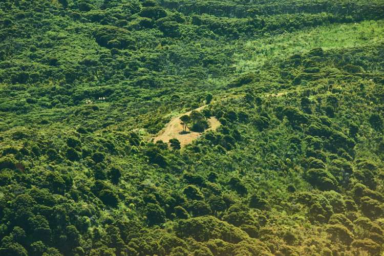 52h Kaitoke Lane Great Barrier Island (Aotea Island)_4