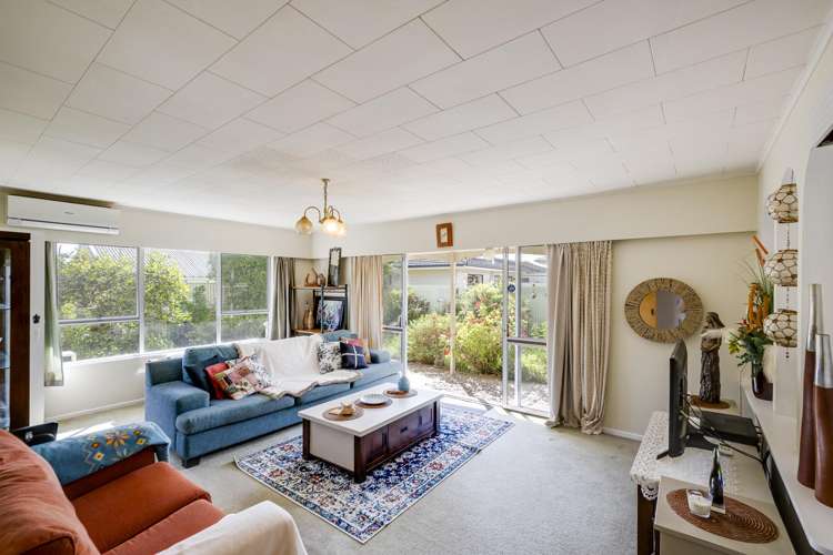 8 Peddie Street Taradale_5