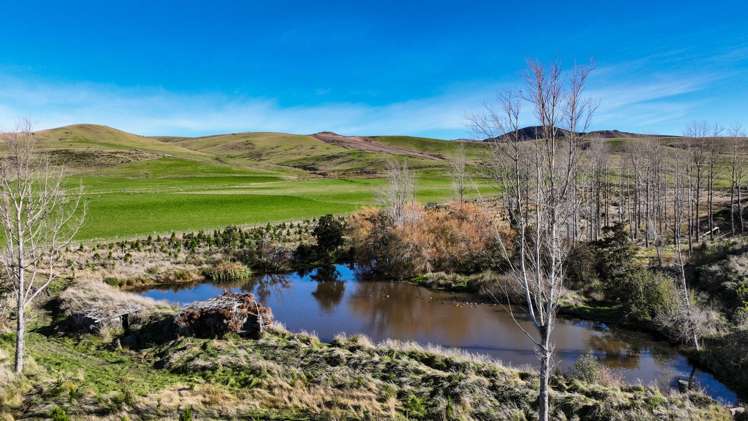 205B-219 Dunrobin Valley Road Dunrobin_7