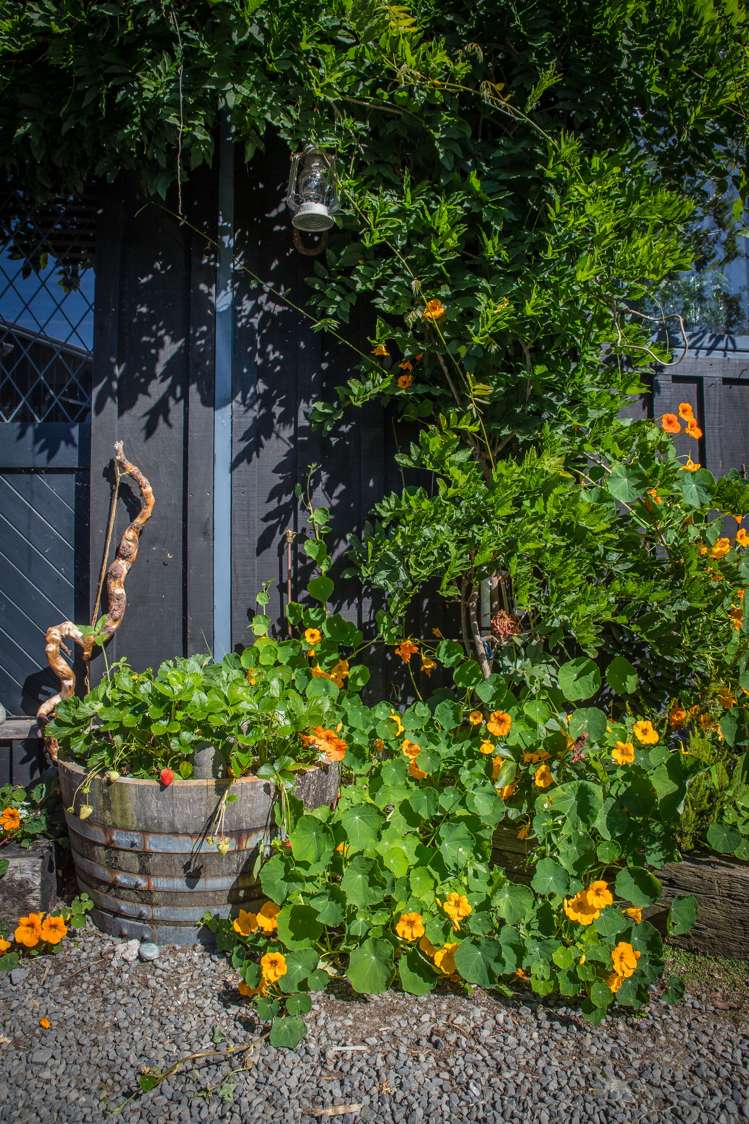 5693 West Coast Road Springfield_27