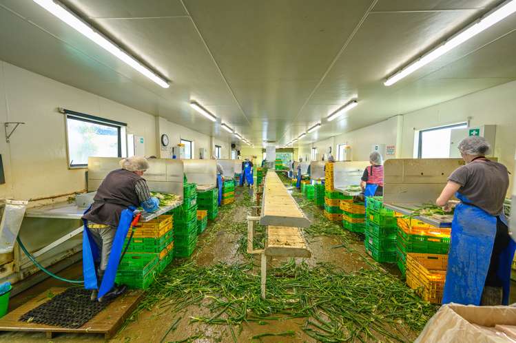 49 Baldwin Road Tasman_14