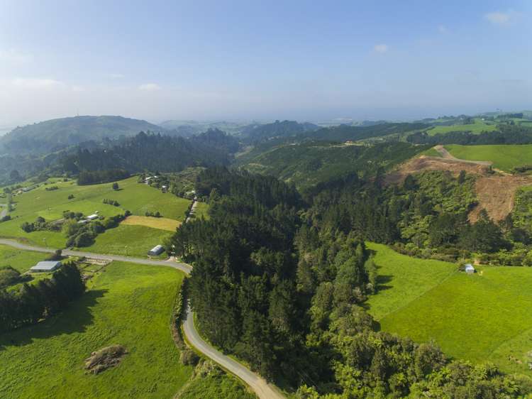 467 Rocky Cutting Road Kaimai_24