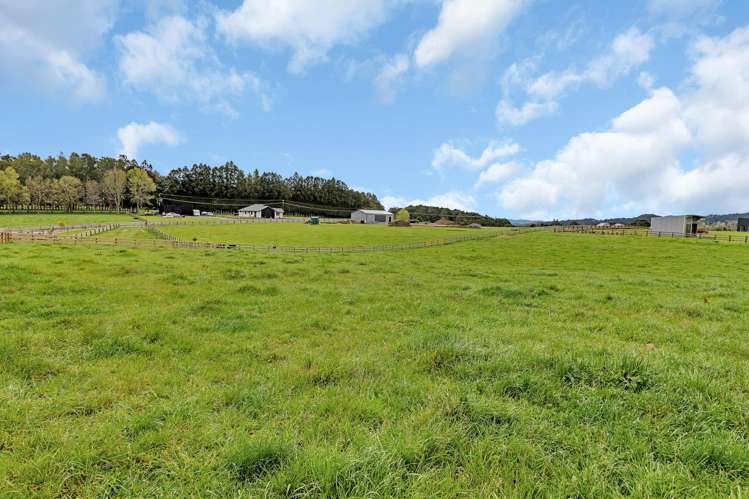135 Apotu Road Kauri_9