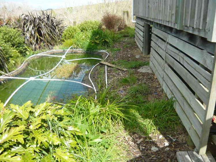 32 Nikau Lane Maungaturoto_22