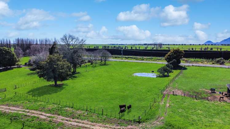 227 Thornton Road Thornton_8