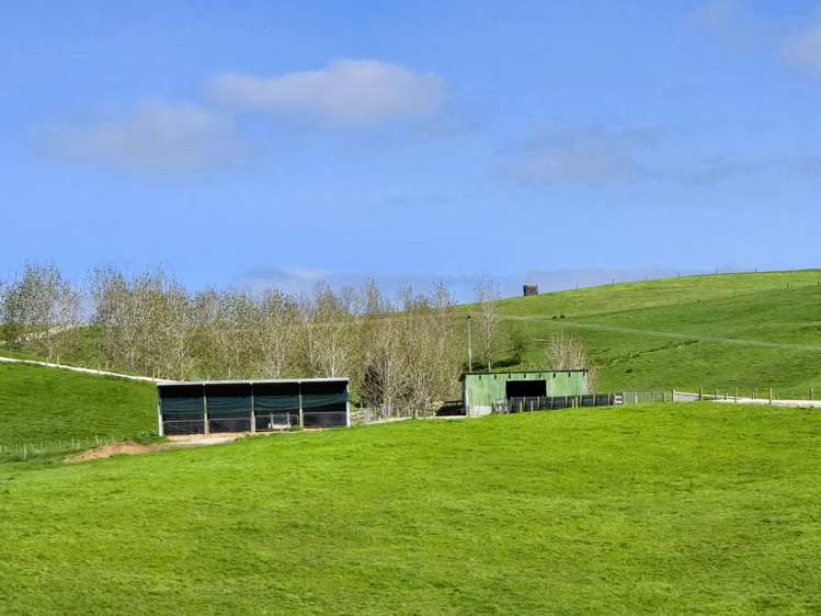 213 Lindquist Road Ararua_23