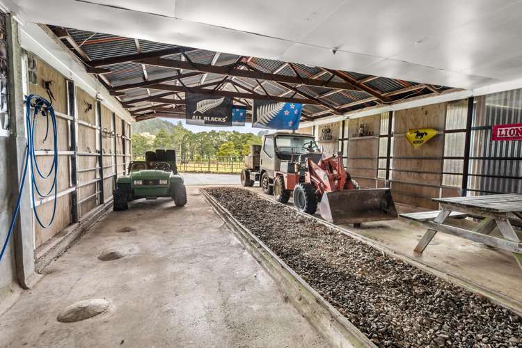 243 Harris Road Glenbervie_21