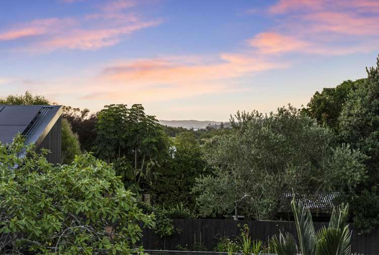 119 Crummer Road Grey Lynn_28