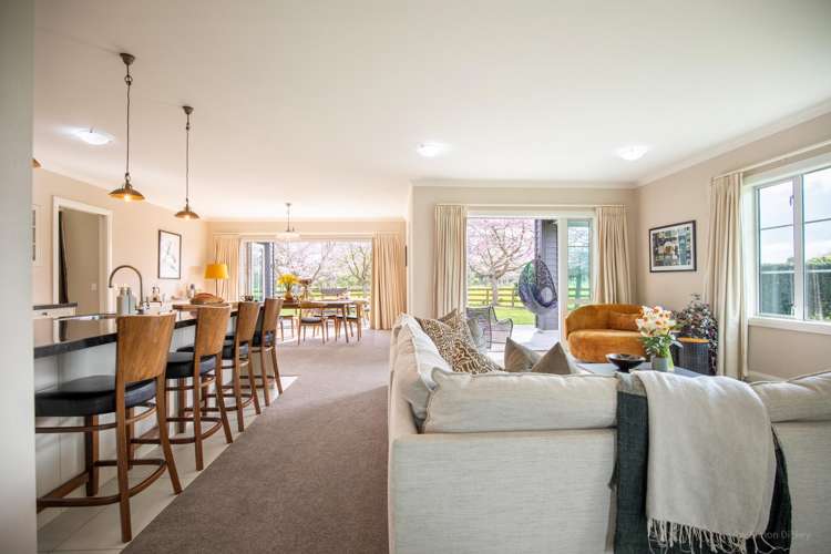 67d Davison Road Newstead_5