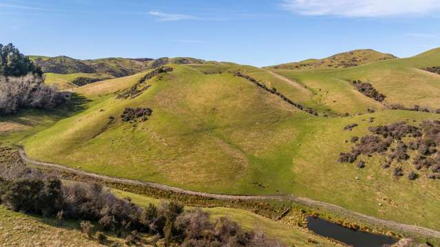 1246 Leader Road West Waiau_4