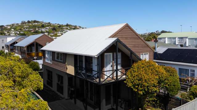 LIVE IN & LOVE IN CENTRAL JOHNSONVILLE