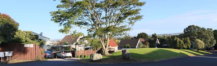 17e Harding Avenue Mount Wellington_11