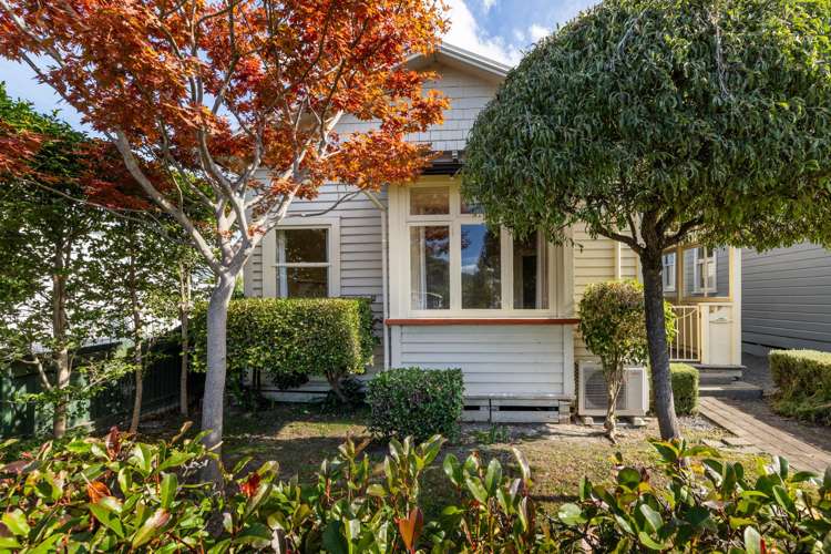 8 McDonald Street Napier South_15