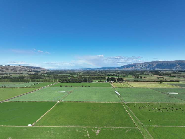 310 Bush Road Mosgiel_5