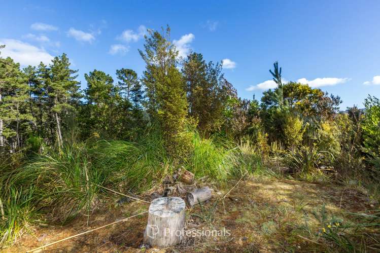 111 and 113 Blue Mountains Road Blue Mountains_8