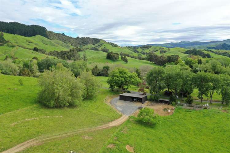 40 Cogswell Road Raglan_41