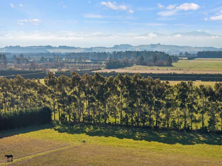 2404 Tram Road West Eyreton_10