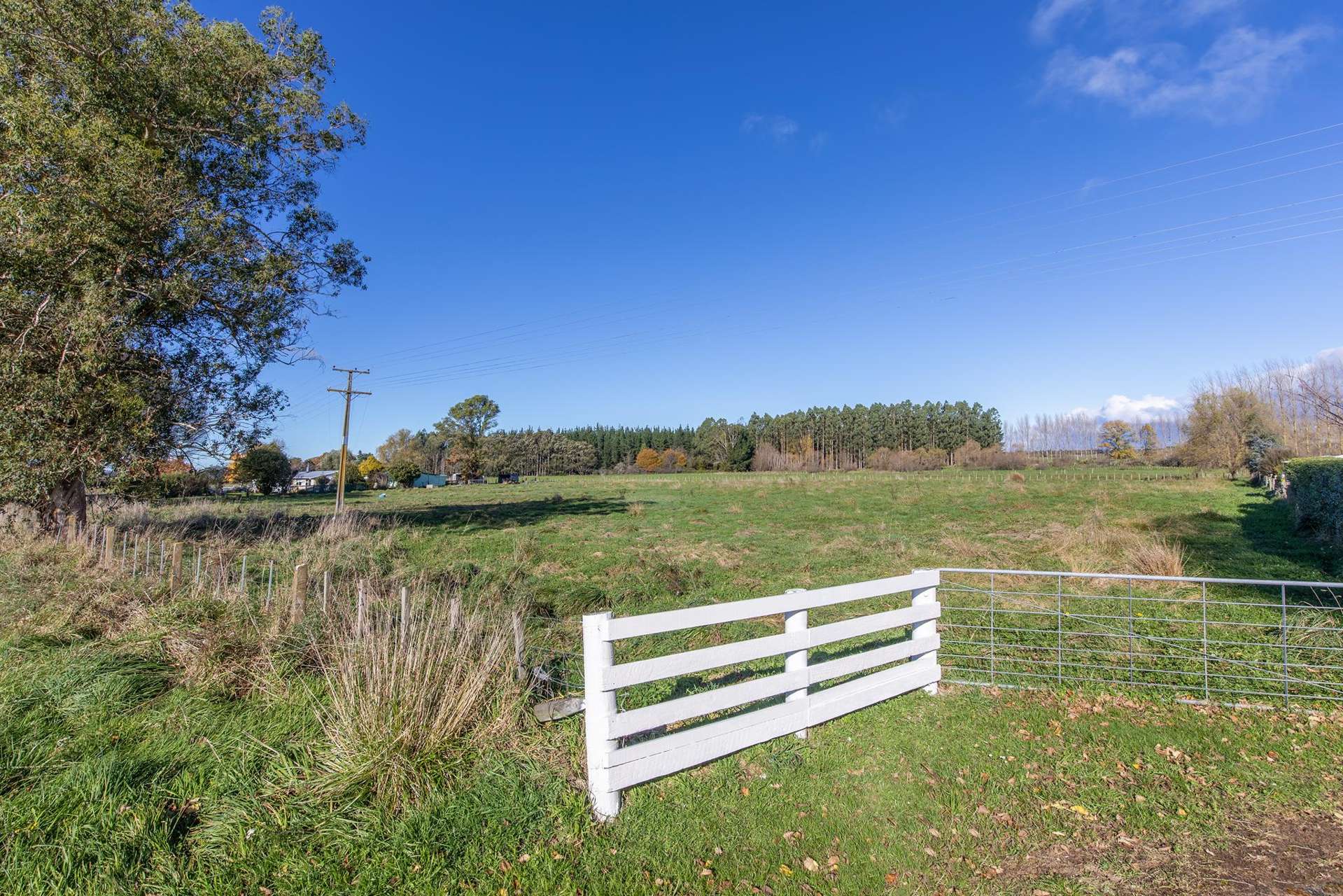 1671 Tikokino Road Tikokino_0