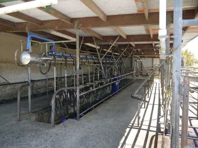 259 Waimata Road Dargaville Surrounds_3