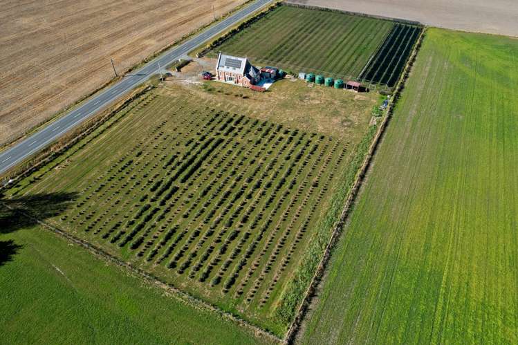 1686 Waimate Highway Makikihi_20