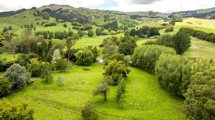 2420, 2430 and 2438 Kahuranaki Road Elsthorpe_9