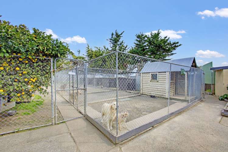 3191 State Highway 1 Sanson_30