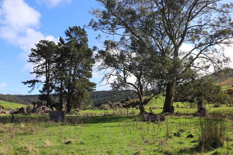 342 Niagara Waikawa Road Catlins Surrounds_11