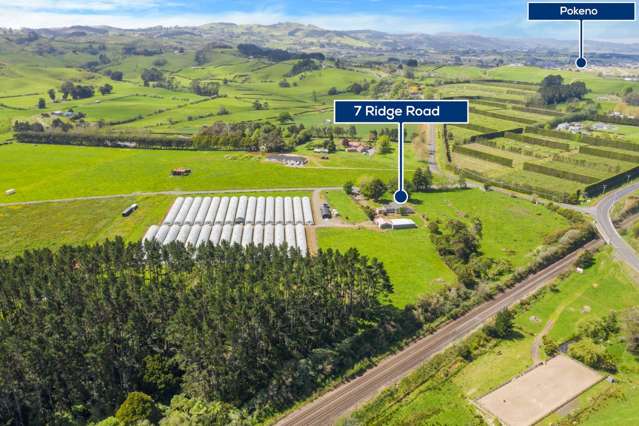 7 Ridge Road Tuakau_1