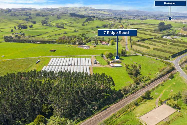7 Ridge Road Tuakau_1