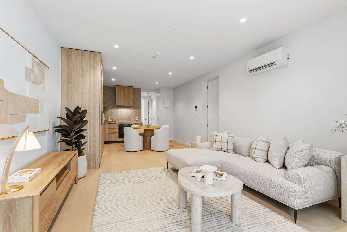 81 Carlton Gore Road_2