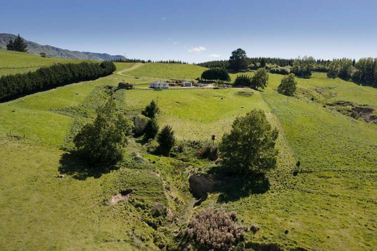 182 Claymore Road Te Pohue_6