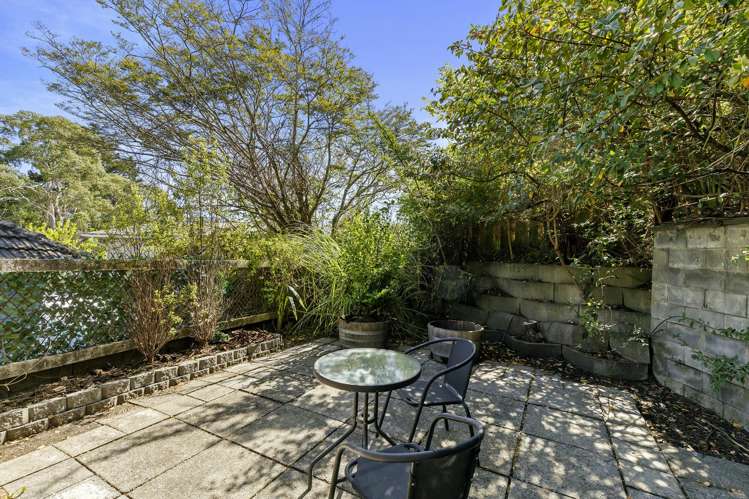 7 Winchester Avenue Pinehaven_12