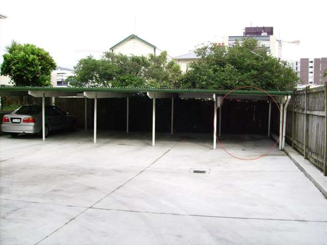 2 Moncrieff Street Mount Victoria_1