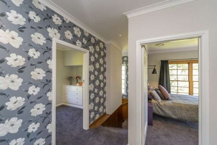 83 Cole Street Masterton_7