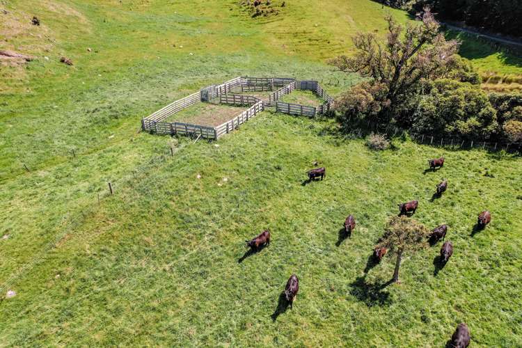 179 Jubilee Road Wainui_5