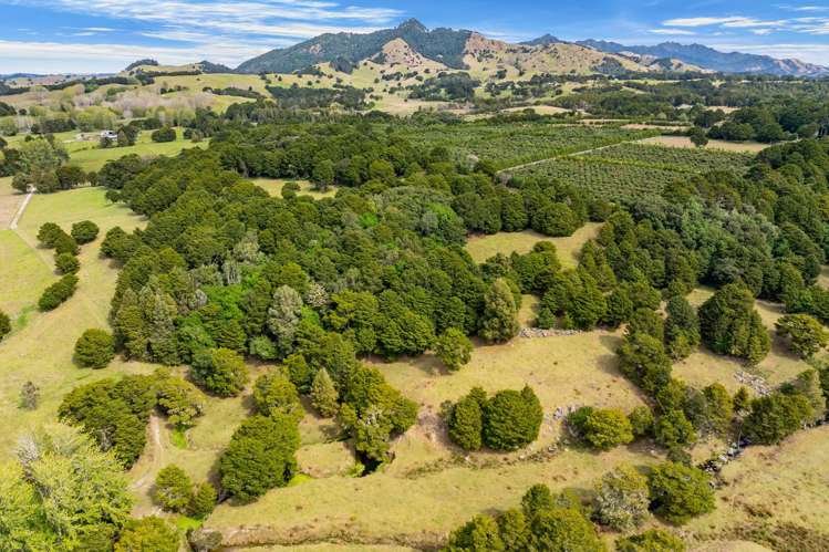 Lot 1 Tauraroa Road_3