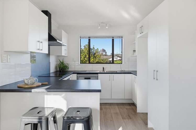 15 Lowry Avenue Redwood_3