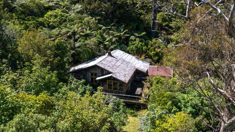 Little Nikau Bay Kenepuru Sound_34