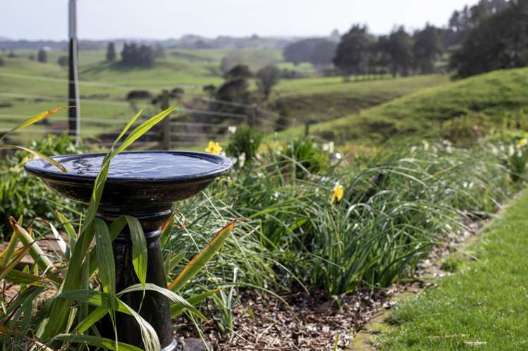 49b Mangakino Road Raglan_17