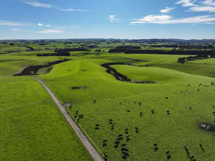 539. Mataura Island Fortrose Road Pine Bush_10