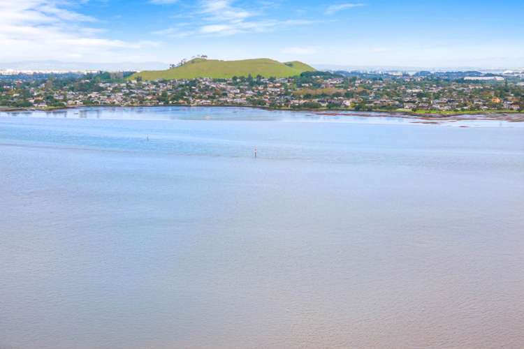 20 Pallister Drive Hillsborough_28