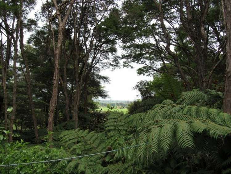 24 Goldfields Road Karangahake_6