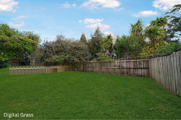 3/29 Wingate Street Avondale_17