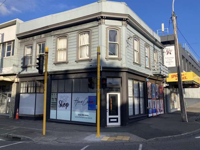 2 and 2A Adelaide Road Mt Cook_3