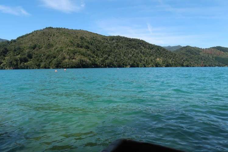 26 Kamahi Road Tennyson Inlet_14