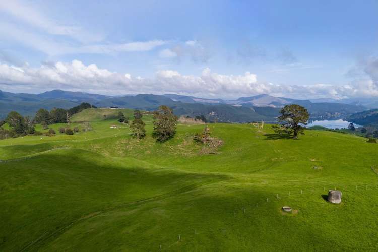 494B Dods Road Waikite Valley_11