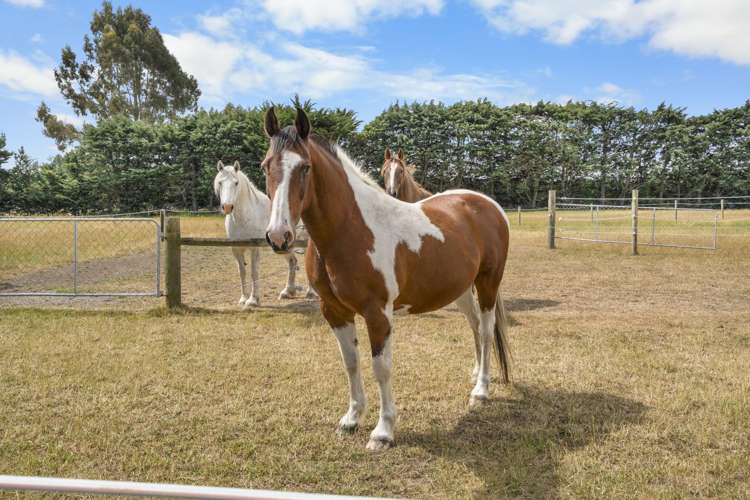 90 Neave Road West Melton_41