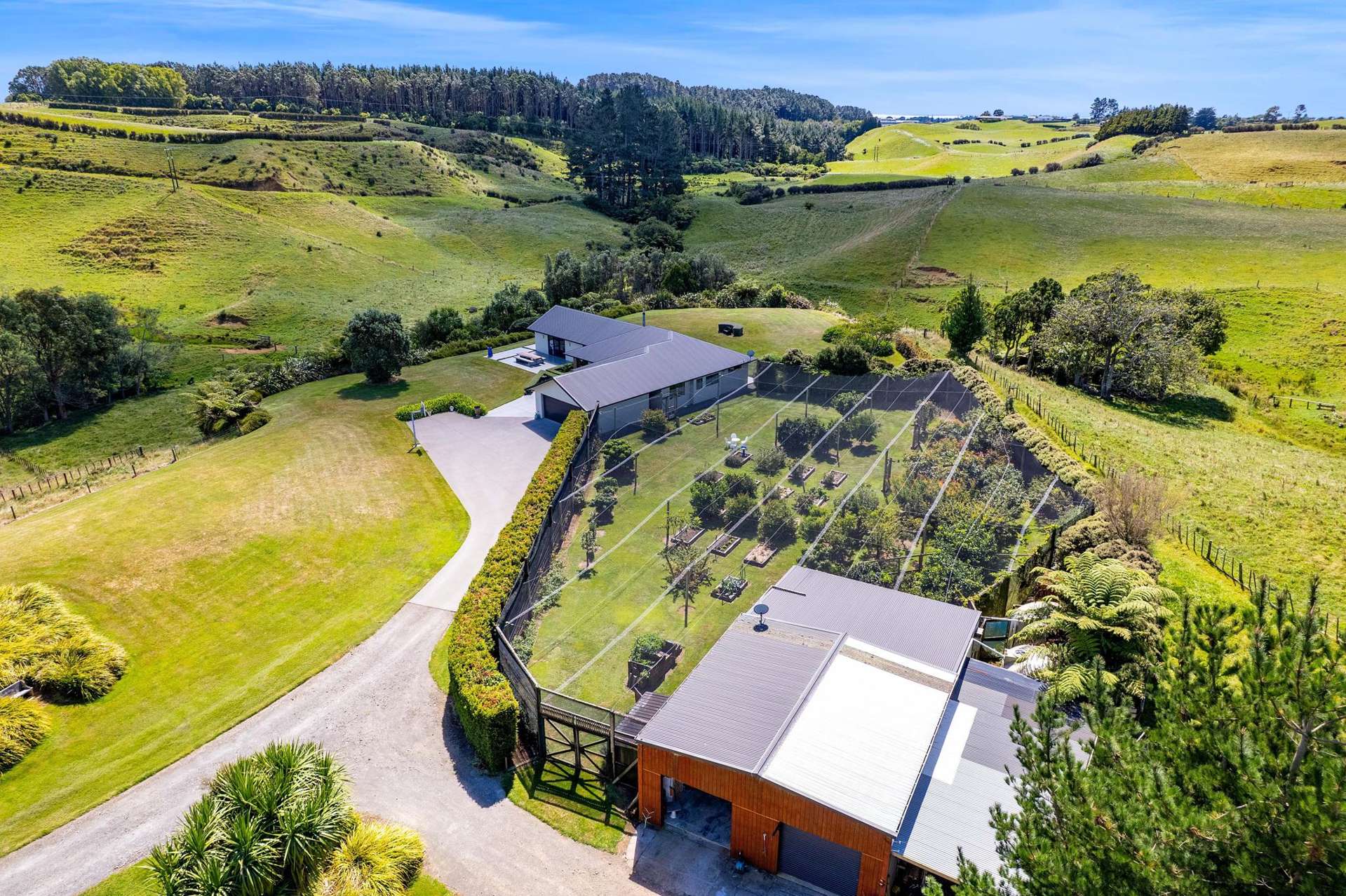 77c Dorset Road Hillsborough_0