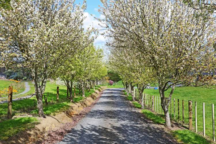 2083b Miranda Road Mangatangi_13