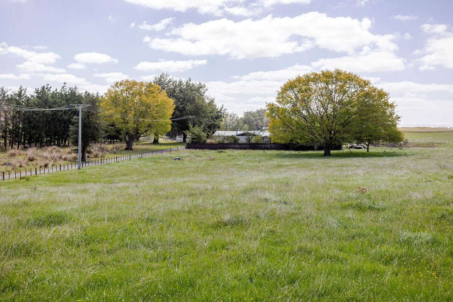 205 Ngawaka Road Flemington_0